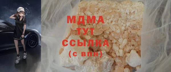 хмурый Аркадак