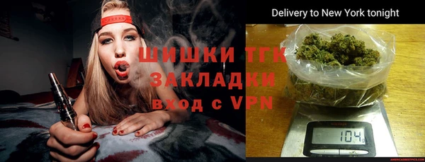 хмурый Аркадак