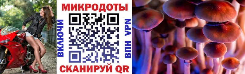 где купить наркоту ОМГ ОМГ ссылка Псилоцибиновые грибы Psilocybe Ленинск-Кузнецкий