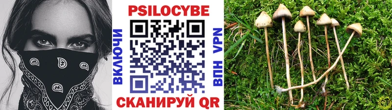 Псилоцибиновые грибы MAGIC MUSHROOMS Ленинск-Кузнецкий